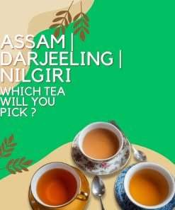 Nilgiri | Assam | Darjeeling